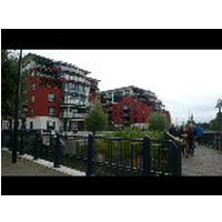 P1110950.JPG