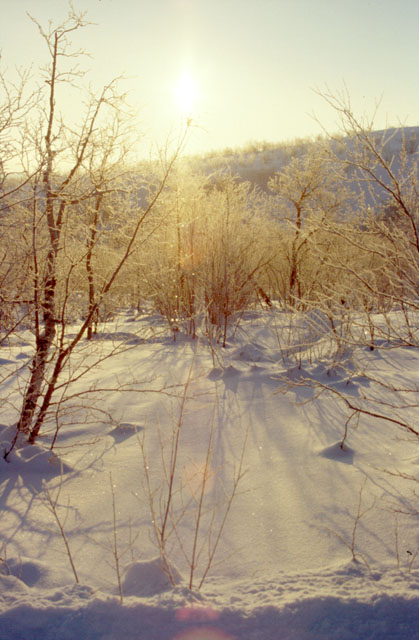 Snow !!!