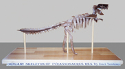 T-Rex Skeleton